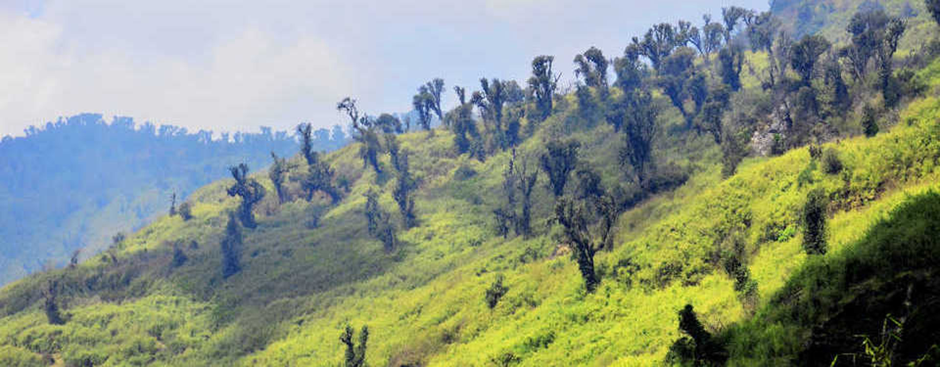 Khedi Trek